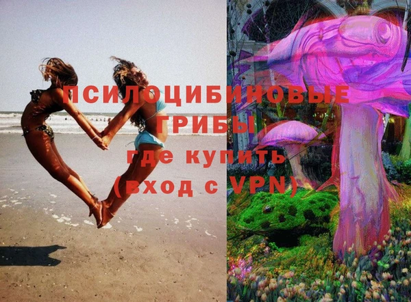 бошки Красноперекопск