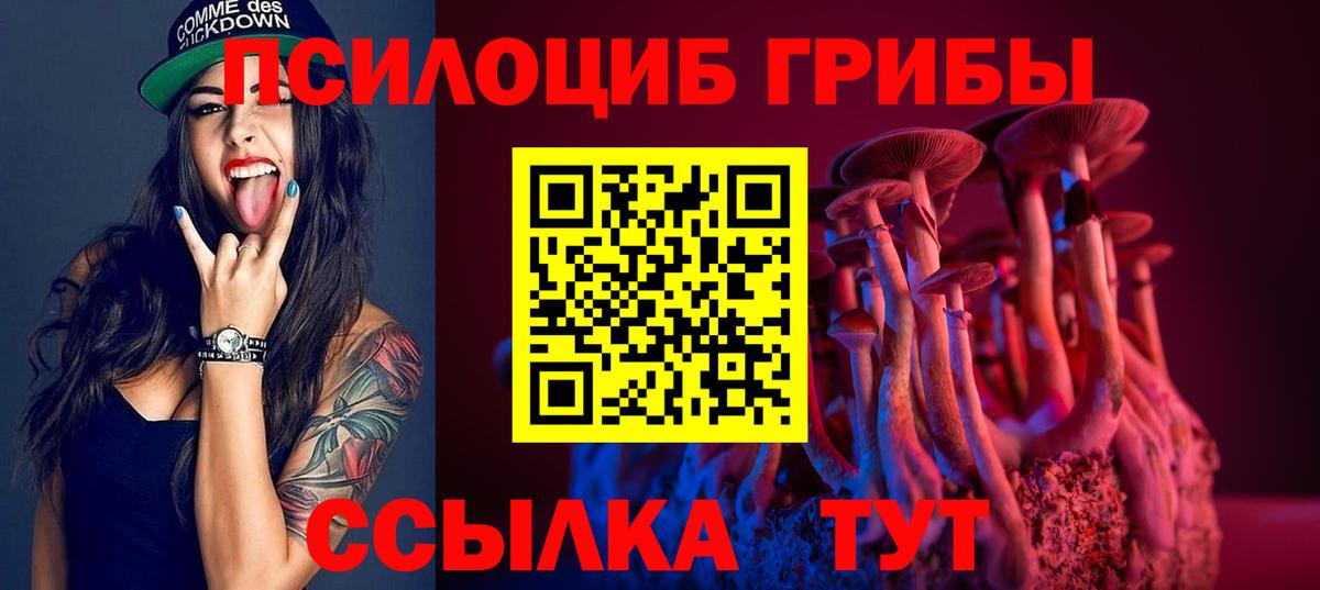 Галлюциногенные грибы GOLDEN TEACHER Жуковский