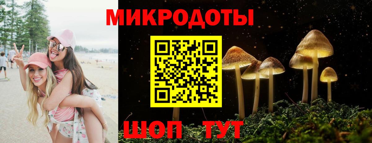 Жуковский  Псилоцибиновые грибы MAGIC MUSHROOMS  Вход с VPN 